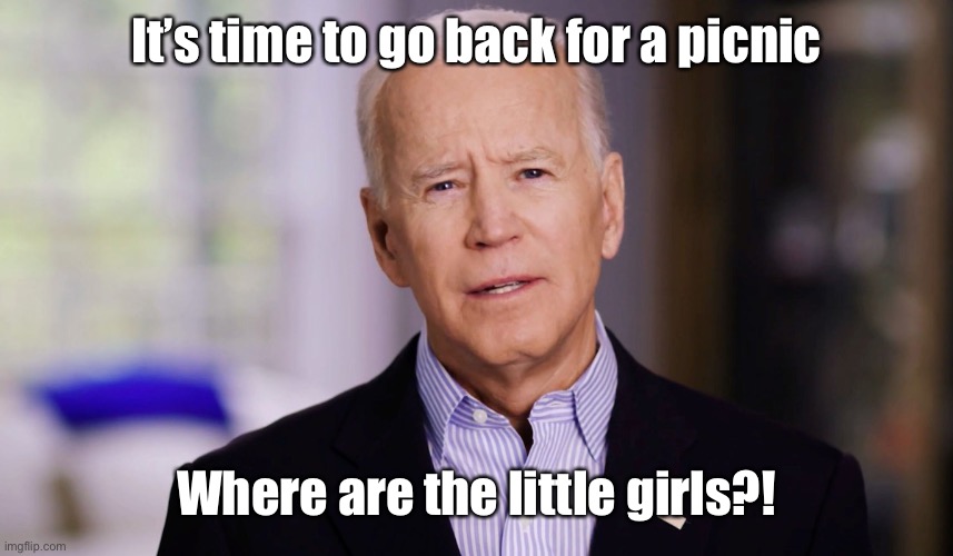 Joe Biden 2020 | It’s time to go back for a picnic Where are the little girls?! | image tagged in joe biden 2020 | made w/ Imgflip meme maker