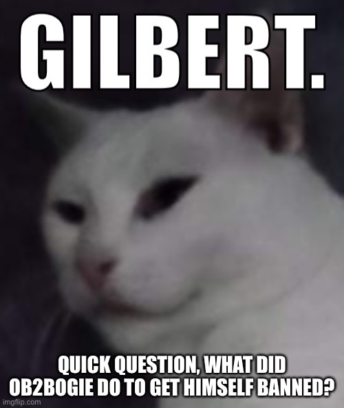 This is a genuine question. And I want Kyrian247 to answer because he’s the one who did. | QUICK QUESTION, WHAT DID OB2BOGIE DO TO GET HIMSELF BANNED? | image tagged in gilbert | made w/ Imgflip meme maker