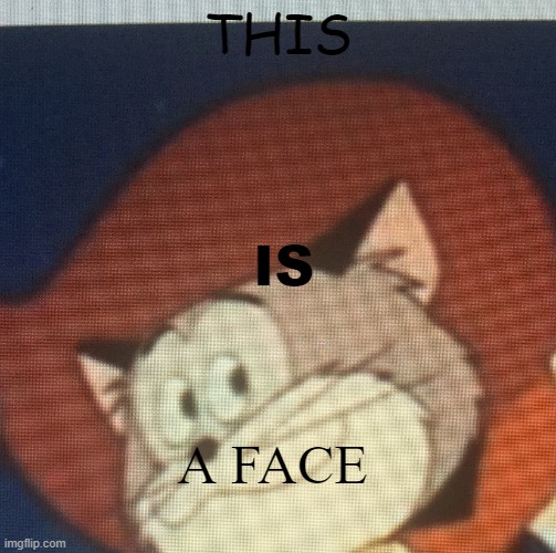 Yes | THIS; IS; A FACE | image tagged in face,cat | made w/ Imgflip meme maker