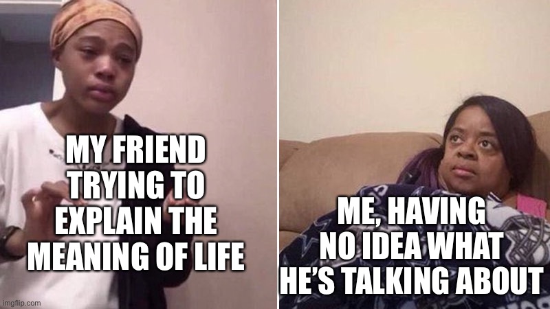 E | MY FRIEND TRYING TO EXPLAIN THE MEANING OF LIFE; ME, HAVING NO IDEA WHAT HE’S TALKING ABOUT | image tagged in me explaining to my mom,the meaning of life,friends,funny,memes | made w/ Imgflip meme maker