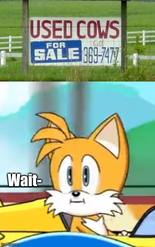 Wait One Second | Wait- | image tagged in tails hold up | made w/ Imgflip meme maker