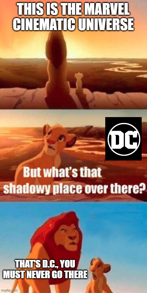Simba Shadowy Place | THIS IS THE MARVEL CINEMATIC UNIVERSE; THAT'S D.C., YOU MUST NEVER GO THERE | image tagged in memes,simba shadowy place | made w/ Imgflip meme maker