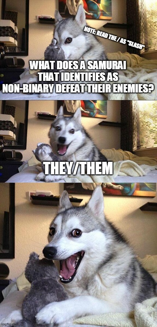 not an homophobic joke pls don't cancel me | NOTE: READ THE / AS ''SLASH''; WHAT DOES A SAMURAI THAT IDENTIFIES AS NON-BINARY DEFEAT THEIR ENEMIES? THEY/THEM | image tagged in memes,bad pun dog | made w/ Imgflip meme maker