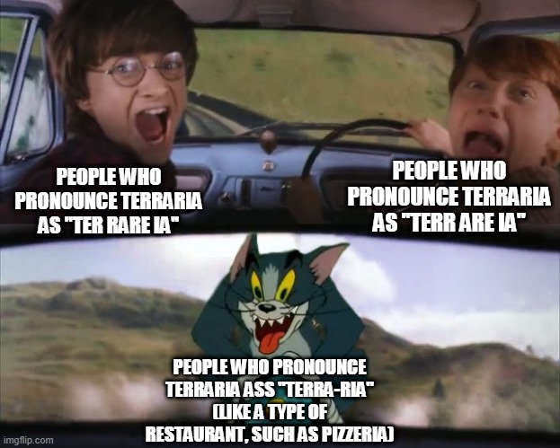 i pronounce it as ter rare ia, and you? | PEOPLE WHO PRONOUNCE TERRARIA AS ''TERR ARE IA''; PEOPLE WHO PRONOUNCE TERRARIA AS ''TER RARE IA''; PEOPLE WHO PRONOUNCE TERRARIA ASS ''TERRA-RIA'' (LIKE A TYPE OF RESTAURANT, SUCH AS PIZZERIA) | image tagged in tom chasing harry and ron weasly,terraria | made w/ Imgflip meme maker