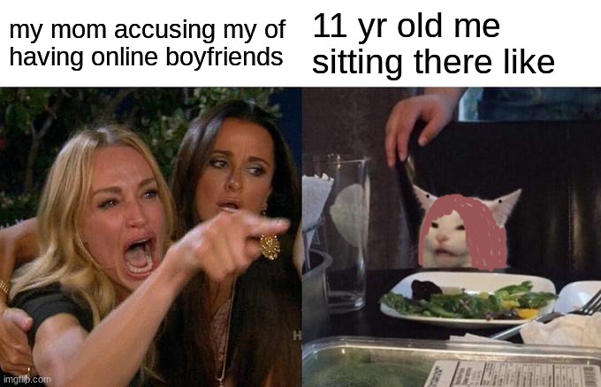 Woman Yelling At Cat Meme | my mom accusing my of having online boyfriends; 11 yr old me sitting there like | image tagged in memes,woman yelling at cat | made w/ Imgflip meme maker