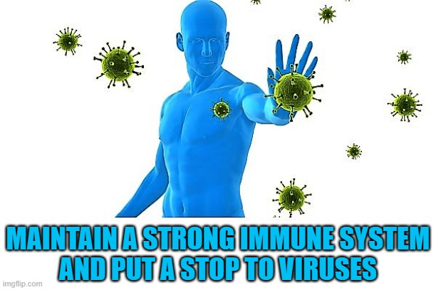 stop the viruses | MAINTAIN A STRONG IMMUNE SYSTEM
AND PUT A STOP TO VIRUSES | image tagged in coronavirus meme,covid19,virus,stop,strong,immune system | made w/ Imgflip meme maker