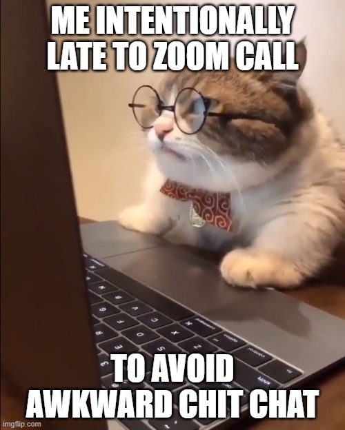 Introvert Zoom Call | ME INTENTIONALLY LATE TO ZOOM CALL; TO AVOID AWKWARD CHIT CHAT | image tagged in research cat,introvert,meetings,awkward | made w/ Imgflip meme maker