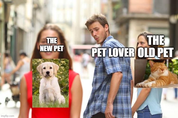 Distracted Boyfriend Meme | THE OLD PET; THE NEW PET; PET LOVER | image tagged in memes,distracted boyfriend | made w/ Imgflip meme maker