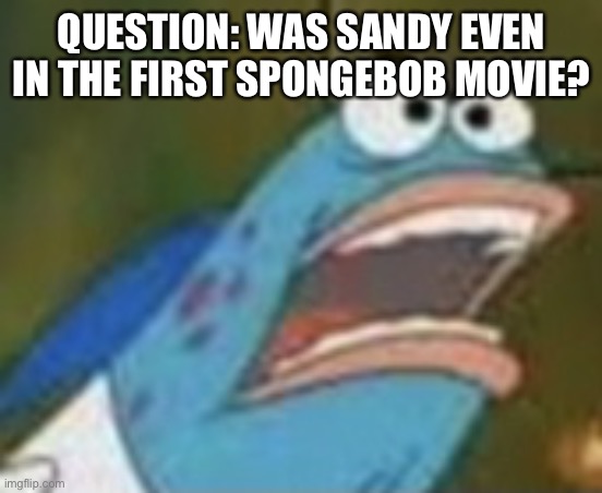 I don’t think she was | QUESTION: WAS SANDY EVEN IN THE FIRST SPONGEBOB MOVIE? | image tagged in harold fish | made w/ Imgflip meme maker