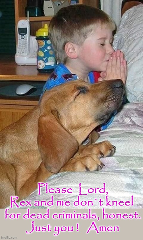 Let us Pray | Please  Lord,
Rex and me don`t kneel 
for dead criminals, honest.
Just you !   Amen | image tagged in kneeling | made w/ Imgflip meme maker