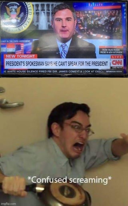 Then Why Is He The President's Spokesman? | image tagged in confused screaming | made w/ Imgflip meme maker