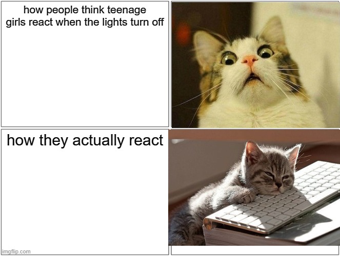 Blank Comic Panel 2x2 | how people think teenage girls react when the lights turn off; how they actually react | image tagged in memes,blank comic panel 2x2 | made w/ Imgflip meme maker