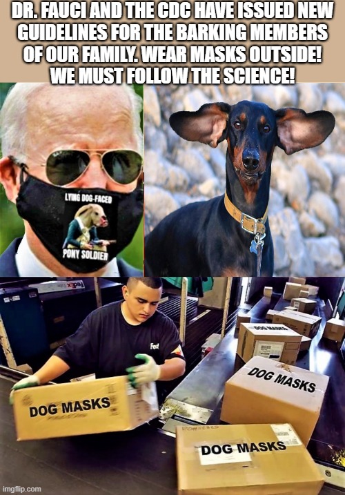 biden, fauci, cdc, and dog masks | DR. FAUCI AND THE CDC HAVE ISSUED NEW
GUIDELINES FOR THE BARKING MEMBERS
OF OUR FAMILY. WEAR MASKS OUTSIDE!
WE MUST FOLLOW THE SCIENCE! | image tagged in coronavirus meme,dr fauci,joe biden,cdc,mask,dog | made w/ Imgflip meme maker