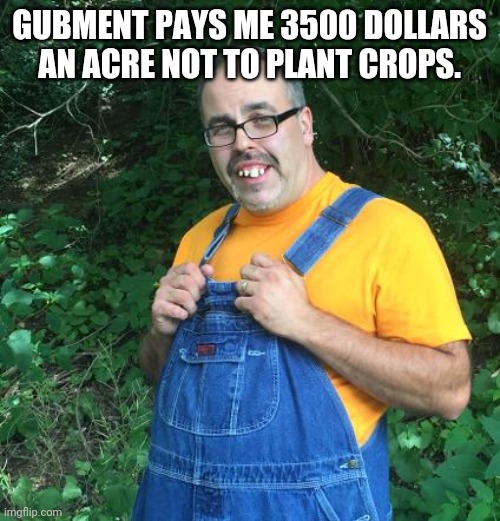 Hillbilly | GUBMENT PAYS ME 3500 DOLLARS AN ACRE NOT TO PLANT CROPS. | image tagged in hillbilly | made w/ Imgflip meme maker