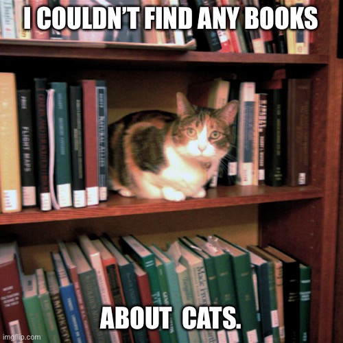 Bookshelf Cat | I COULDN’T FIND ANY BOOKS; ABOUT  CATS. | image tagged in bookshelf cat | made w/ Imgflip meme maker