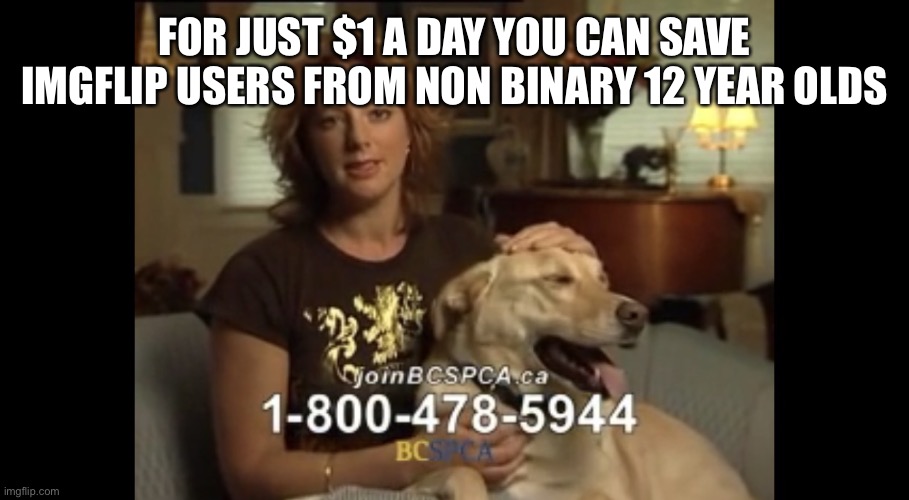 For just $$ a day | FOR JUST $1 A DAY YOU CAN SAVE IMGFLIP USERS FROM NON BINARY 12 YEAR OLDS | image tagged in for just a day | made w/ Imgflip meme maker