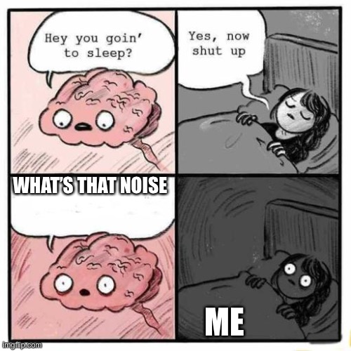 LIKE THAT RANDOM FOOTSTEP- | WHAT’S THAT NOISE; ME | image tagged in hey you going to sleep | made w/ Imgflip meme maker
