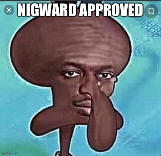 Nigward | NIGWARD APPROVED | image tagged in nigward | made w/ Imgflip meme maker