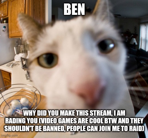 ok but why tho | BEN; WHY DID YOU MAKE THIS STREAM, I AM RADING YOU (VIDEO GAMES ARE COOL BTW AND THEY SHOULDN'T BE BANNED, PEOPLE CAN JOIN ME TO RAID) | image tagged in cat close to camera | made w/ Imgflip meme maker