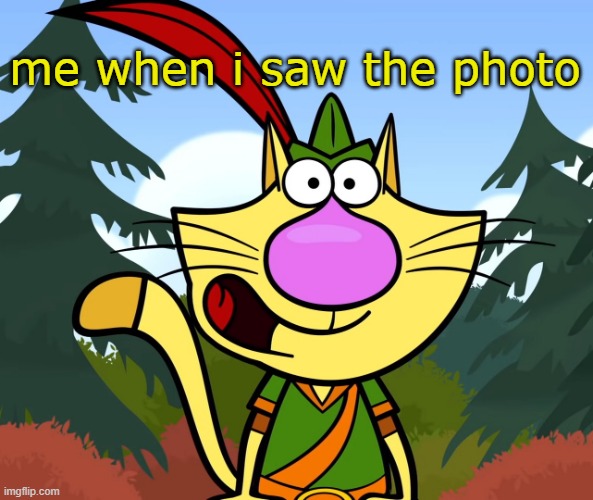 No Way!! (Nature Cat) | me when i saw the photo | image tagged in no way nature cat | made w/ Imgflip meme maker
