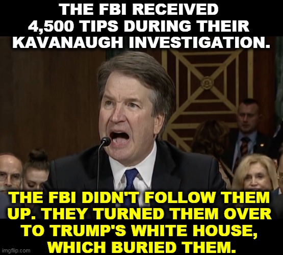 Christine Blasey Ford was right after all. | THE FBI RECEIVED 
4,500 TIPS DURING THEIR 
KAVANAUGH INVESTIGATION. THE FBI DIDN'T FOLLOW THEM 
UP. THEY TURNED THEM OVER 
TO TRUMP'S WHITE HOUSE, 
WHICH BURIED THEM. | image tagged in im not mad kavanaugh,brett kavanaugh,drunk,sexual assault,pervert,liar | made w/ Imgflip meme maker