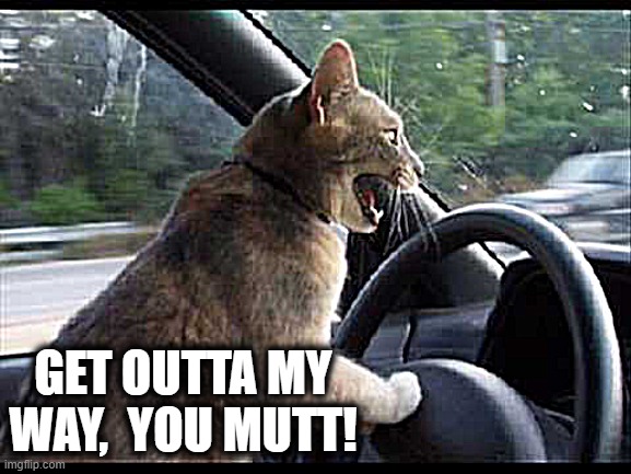 GET OUTTA MY WAY,  YOU MUTT! | made w/ Imgflip meme maker