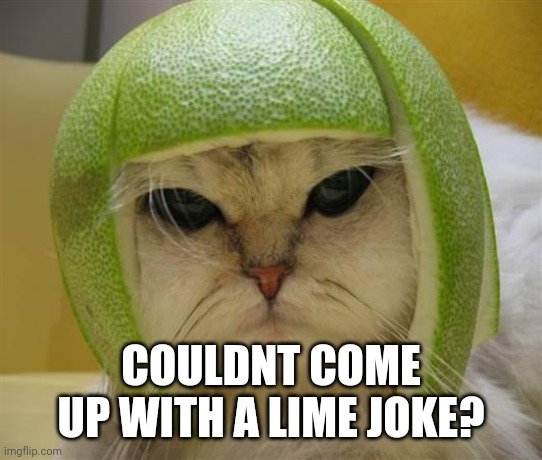 lime-cat | COULDNT COME UP WITH A LIME JOKE? | image tagged in lime-cat | made w/ Imgflip meme maker