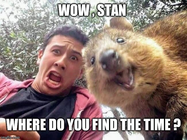 Quokka and Stan | WOW , STAN WHERE DO YOU FIND THE TIME ? | image tagged in quokka and stan | made w/ Imgflip meme maker