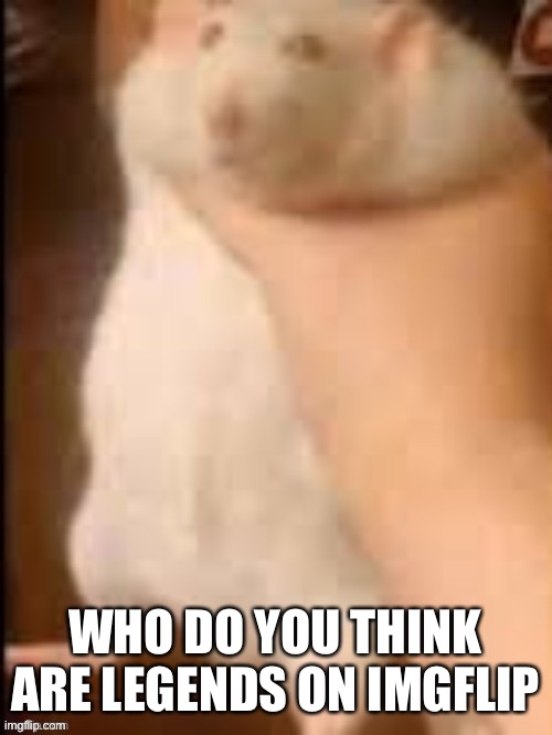 Man holding hamster | WHO DO YOU THINK ARE LEGENDS ON IMGFLIP | image tagged in man holding hamster | made w/ Imgflip meme maker