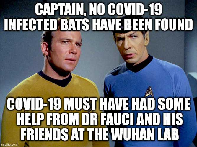 CAPTAIN, NO COVID-19 INFECTED BATS HAVE BEEN FOUND COVID-19 MUST HAVE HAD SOME
 HELP FROM DR FAUCI AND HIS
 FRIENDS AT THE WUHAN LAB | made w/ Imgflip meme maker