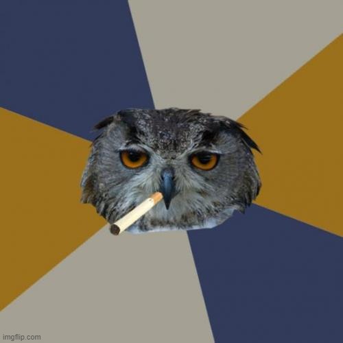 Art Student Owl Meme | image tagged in memes,art student owl | made w/ Imgflip meme maker