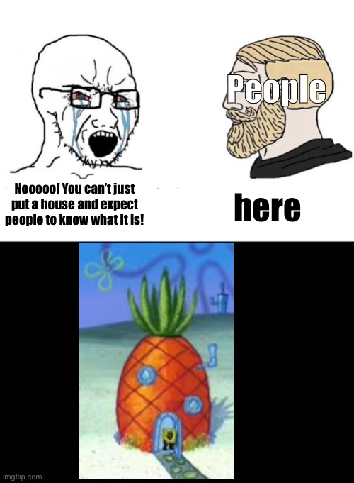 Nostalgia | People; Nooooo! You can’t just put a house and expect people to know what it is! here | image tagged in soyboy vs yes chad,nostalgia,spongebob,spongebob squarepants | made w/ Imgflip meme maker