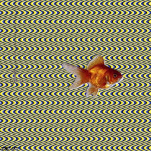 Fish. | made w/ Imgflip meme maker