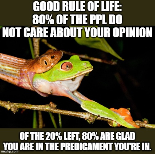 Don't Give a Shit |  GOOD RULE OF LIFE:
80% OF THE PPL DO NOT CARE ABOUT YOUR OPINION; OF THE 20% LEFT, 80% ARE GLAD YOU ARE IN THE PREDICAMENT YOU'RE IN. | image tagged in frog,sympathy,life,fun,rule,80 | made w/ Imgflip meme maker