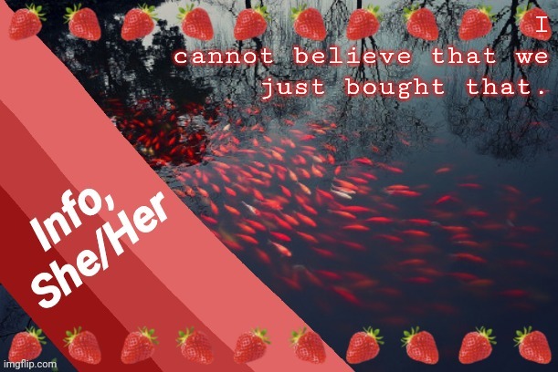 I
 cannot believe that we
just bought that. | image tagged in info | made w/ Imgflip meme maker