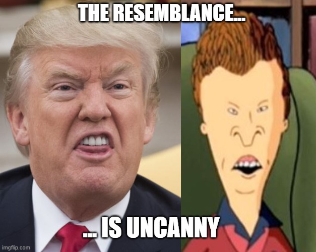 Trump and Beavis | THE RESEMBLANCE... ... IS UNCANNY | image tagged in trump,beavis | made w/ Imgflip meme maker