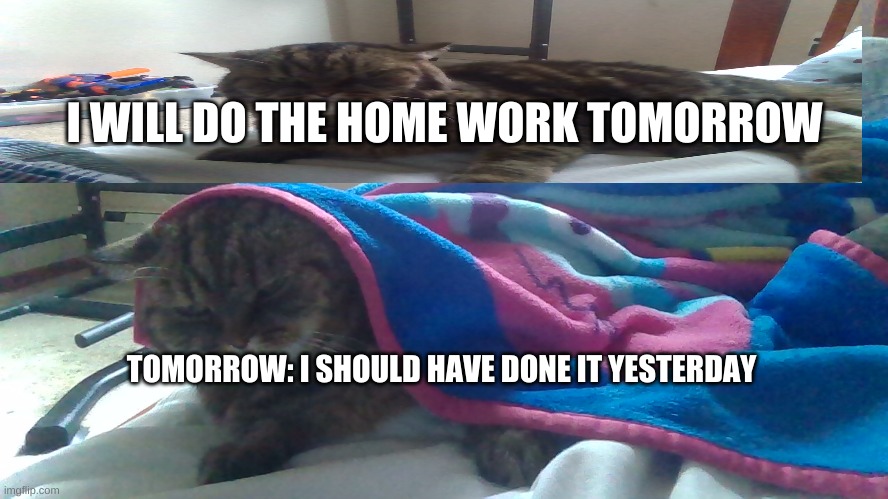 Homework be like | I WILL DO THE HOME WORK TOMORROW; TOMORROW: I SHOULD HAVE DONE IT YESTERDAY | image tagged in funny memes | made w/ Imgflip meme maker