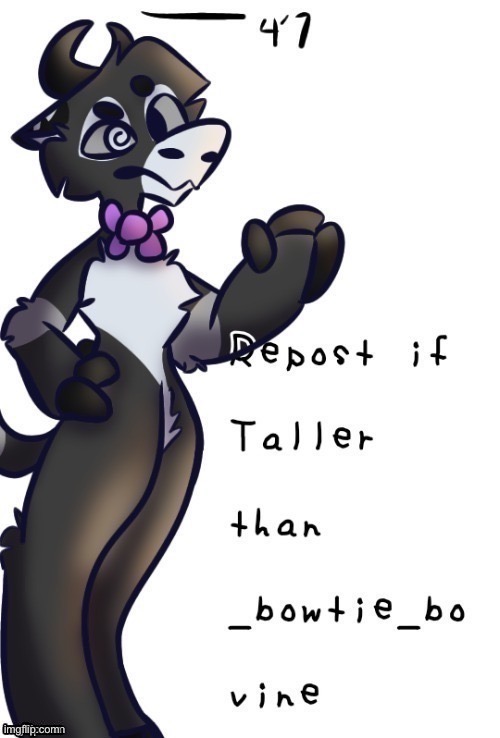 4’11 or 5 feet I can’t remember | made w/ Imgflip meme maker