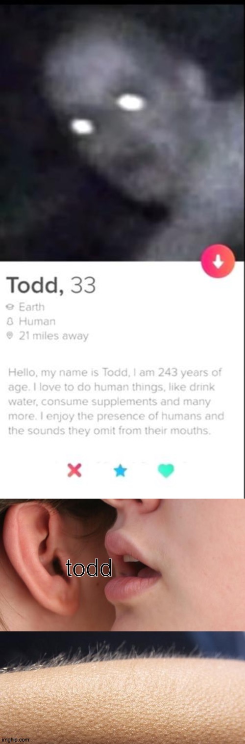 t o d d | todd | image tagged in whisper and goosebumps,tinder,profile | made w/ Imgflip meme maker