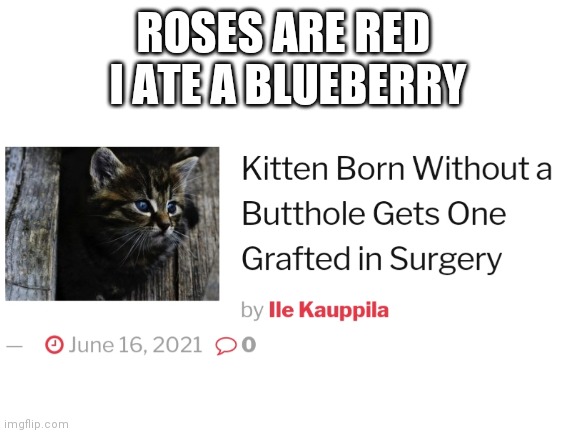 ROSES ARE RED 
I ATE A BLUEBERRY | image tagged in roses are red,memes | made w/ Imgflip meme maker