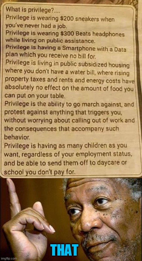 Daddy, what is privilege? | THAT | image tagged in this morgan freeman,liberals,democrats,left,entitlement,communism | made w/ Imgflip meme maker