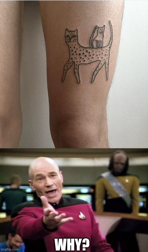 WHY? | WHY? | image tagged in memes,picard wtf,tattoos,bad tattoos | made w/ Imgflip meme maker