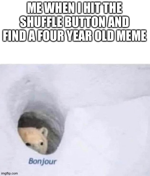 Bonjour | ME WHEN I HIT THE SHUFFLE BUTTON AND FIND A FOUR YEAR OLD MEME | image tagged in bonjour | made w/ Imgflip meme maker