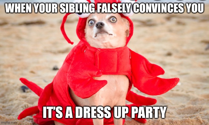 Party fail | WHEN YOUR SIBLING FALSELY CONVINCES YOU; IT’S A DRESS UP PARTY | image tagged in party of haters,party | made w/ Imgflip meme maker