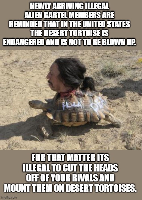 border | NEWLY ARRIVING ILLEGAL ALIEN CARTEL MEMBERS ARE REMINDED THAT IN THE UNITED STATES THE DESERT TORTOISE IS ENDANGERED AND IS NOT TO BE BLOWN UP. FOR THAT MATTER ITS ILLEGAL TO CUT THE HEADS OFF OF YOUR RIVALS AND MOUNT THEM ON DESERT TORTOISES. | image tagged in democrats,fascism | made w/ Imgflip meme maker