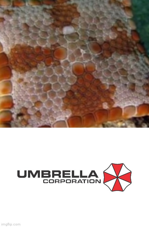 image tagged in umbrella corp | made w/ Imgflip meme maker
