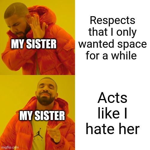 Drake Hotline Bling | Respects that I only wanted space for a while; MY SISTER; Acts like I hate her; MY SISTER | image tagged in memes,drake hotline bling | made w/ Imgflip meme maker