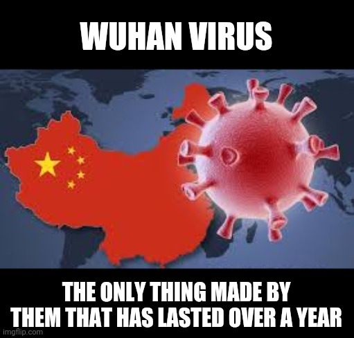 Made in China | WUHAN VIRUS; THE ONLY THING MADE BY THEM THAT HAS LASTED OVER A YEAR | image tagged in made in china | made w/ Imgflip meme maker