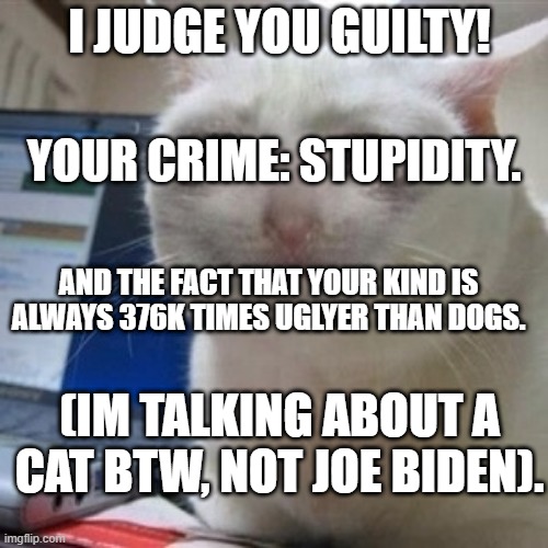 Crying cat | I JUDGE YOU GUILTY! YOUR CRIME: STUPIDITY. AND THE FACT THAT YOUR KIND IS ALWAYS 376K TIMES UGLYER THAN DOGS. (IM TALKING ABOUT A CAT BTW, NOT JOE BIDEN). | image tagged in crying cat | made w/ Imgflip meme maker