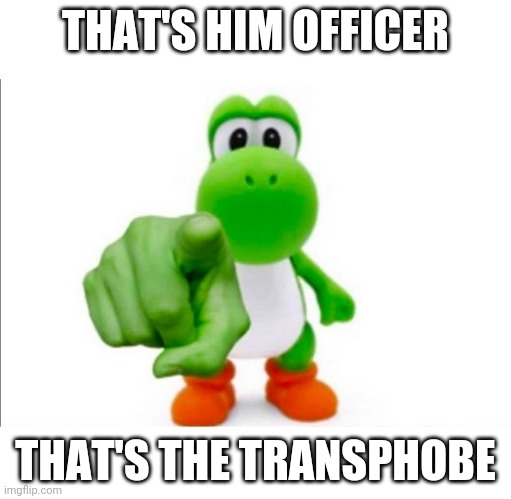 Pointing Yoshi | THAT'S HIM OFFICER THAT'S THE TRANSPHOBE | image tagged in pointing yoshi | made w/ Imgflip meme maker